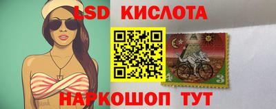 прущие крисы Моздок