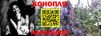 мдма Можга