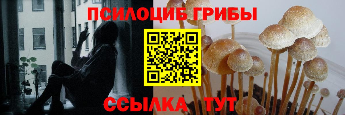 Псилоцибиновые грибы ЛСД  Вход с VPN  Краснокамск 